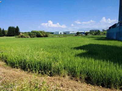 蘆竹近大竹交流道一般農業區農地,桃園市蘆竹區農地出售