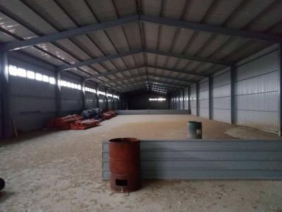 近青埔全新挑高鋼構倉庫廠,桃園市觀音區廠房出租